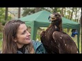 South of Scotland Golden Eagle Project