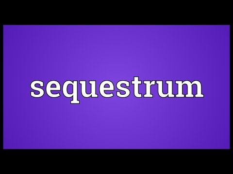 Header of sequestrum
