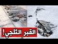 عاجل | 147 قتيلاً ومليون بلا كهرباء… “فيرن” تفتك بأمريكا وشتاء جديد يضرب الليلة (جيانا)