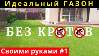 Нужна ли СЕТКА ОТ КРОТОВ под газон? ГАЗОН своими руками БЕЗ КРОТОВ.