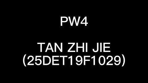 PW4 VIDEO 25DET19F1029