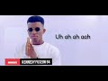 Kofi Kinaata-Thy Grace { Lyrics} sing along🇬🇭💯☑️