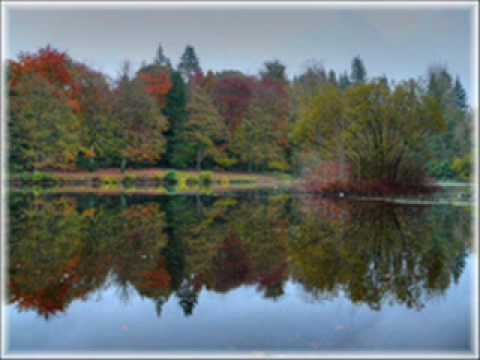 Martin O'Donoghue - Cabra's Lovely Veil