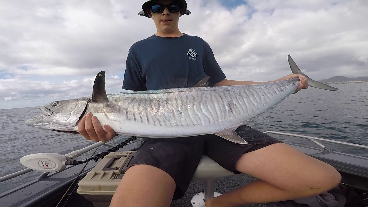FISHING FOR SPANISH MACKEREL Mid North Coast NSW YouTube