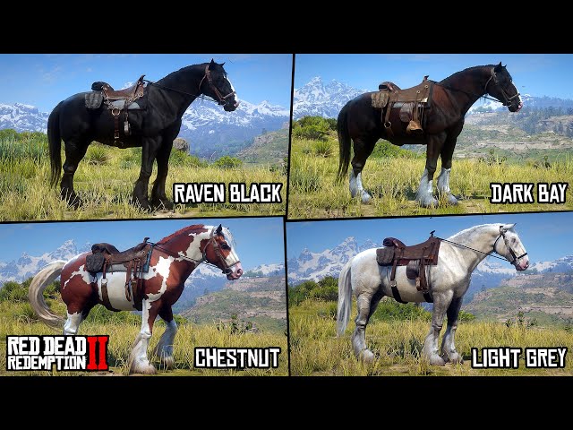 Brown Shire Horse Rdr2