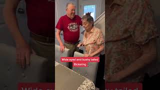 Bickering alzheimers caregiver dementiaawareness bickering