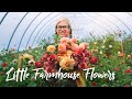 BEAUTIFUL Flower Farm in the Adirondacks of Upstate New York!