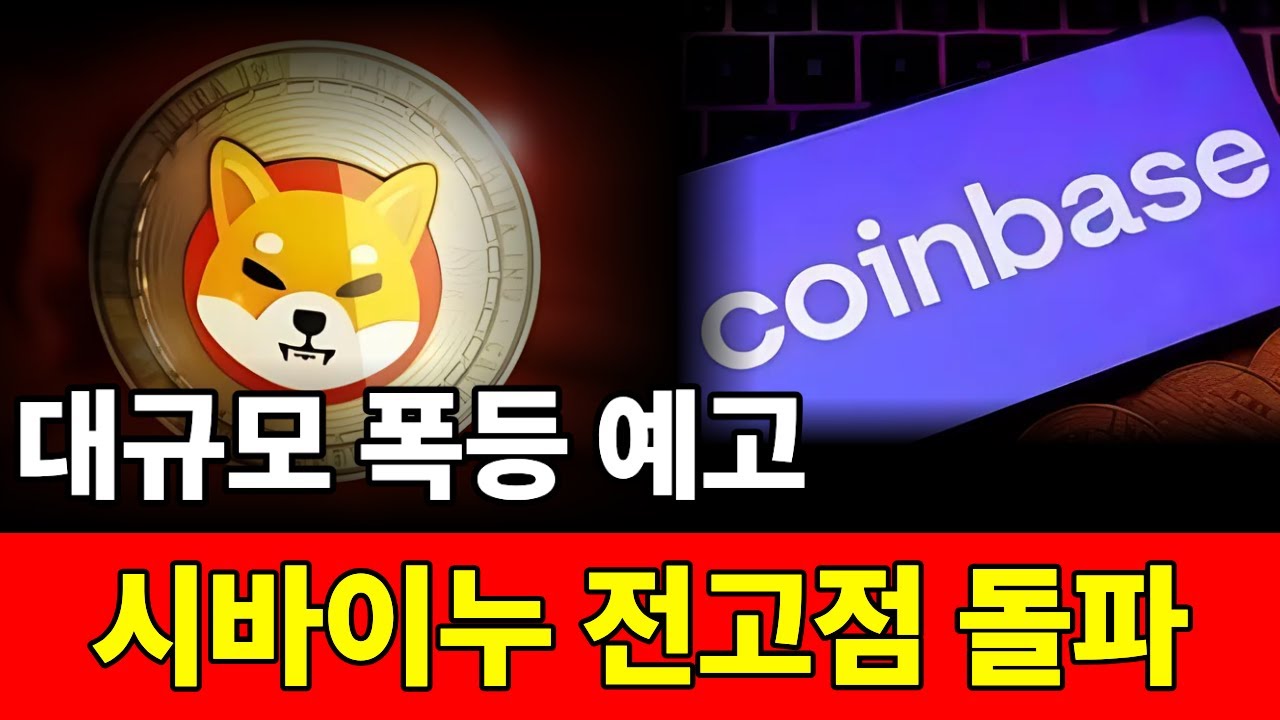 이제는 유틸리티 코인이 된 시바이누, 2026 폭발적인 상승전망 - YouTube