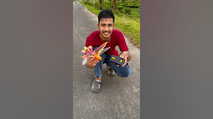 Remote control bird Unboxing