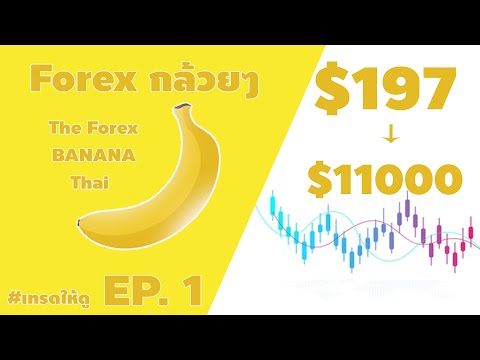 EP.1 เทคนิคการทำกำไรจาก $200 ไป $11000 #forex #strategy #forexกล้วยๆ