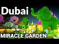 Dubai 🇦🇪 Miracle Garden |4K| Beautiful Night Walking Tour [2023-2024]