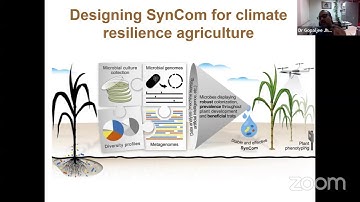 BIIS 12 Day 10 Plant-Microbe interactions
