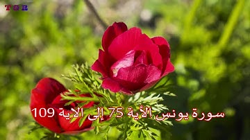 سورة يونس من الأية 75 إلى الاأية 109