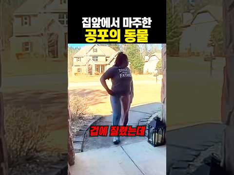 집 앞에서 마주한 공포의 동물 ㄷㄷ thumbnail