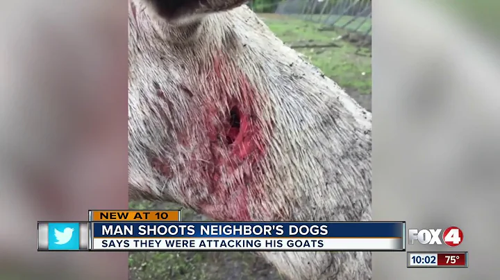 Neighbor shoots dogs to death to protect goats and...