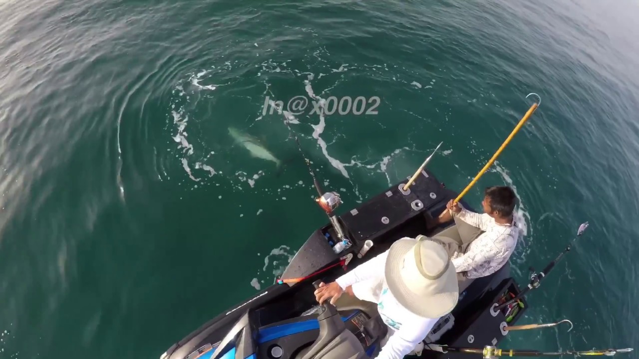 Jet ski fishing trolling YouTube