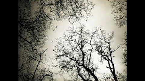 Thumbnail of Hania Rani - Summer