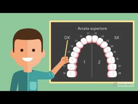 Video: Come vengono numerati i denti soprannumerari?