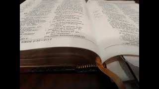 Day 193 - Amos 6-9 JUST THE WORD