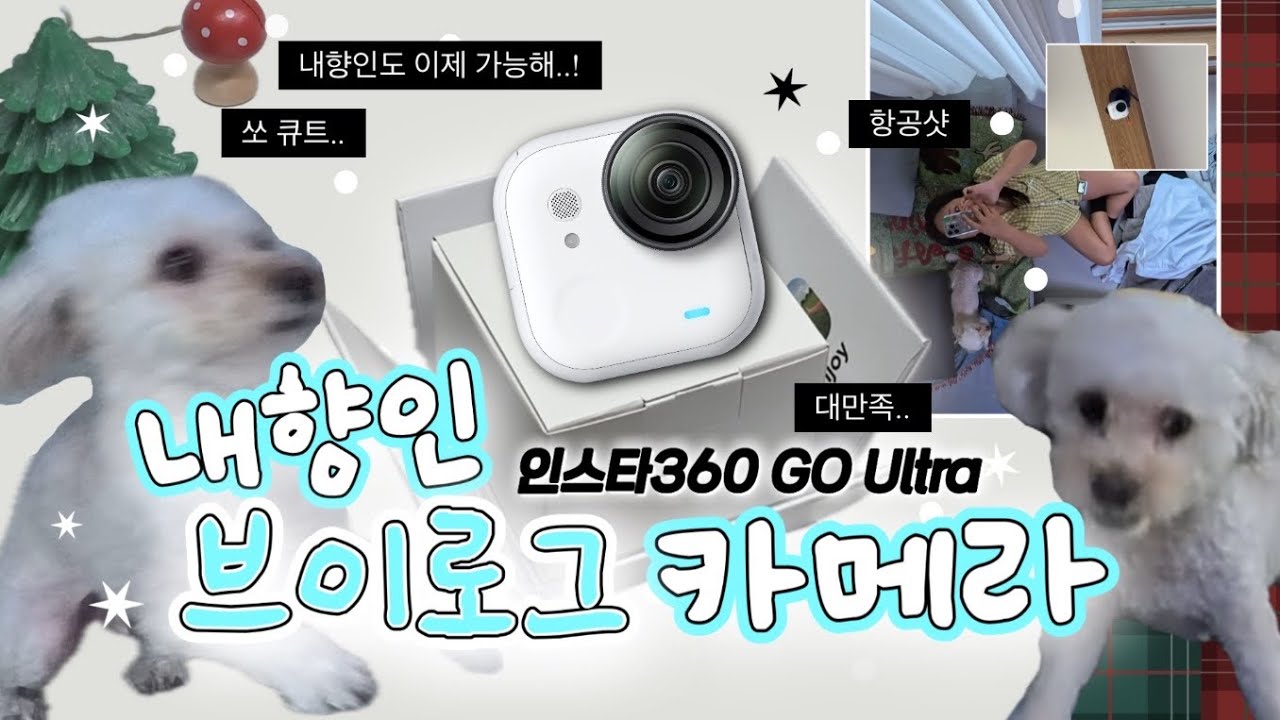 요즘 핫한 '그' 카메라 하울 + 브이로그 (인스타360 고울트라)