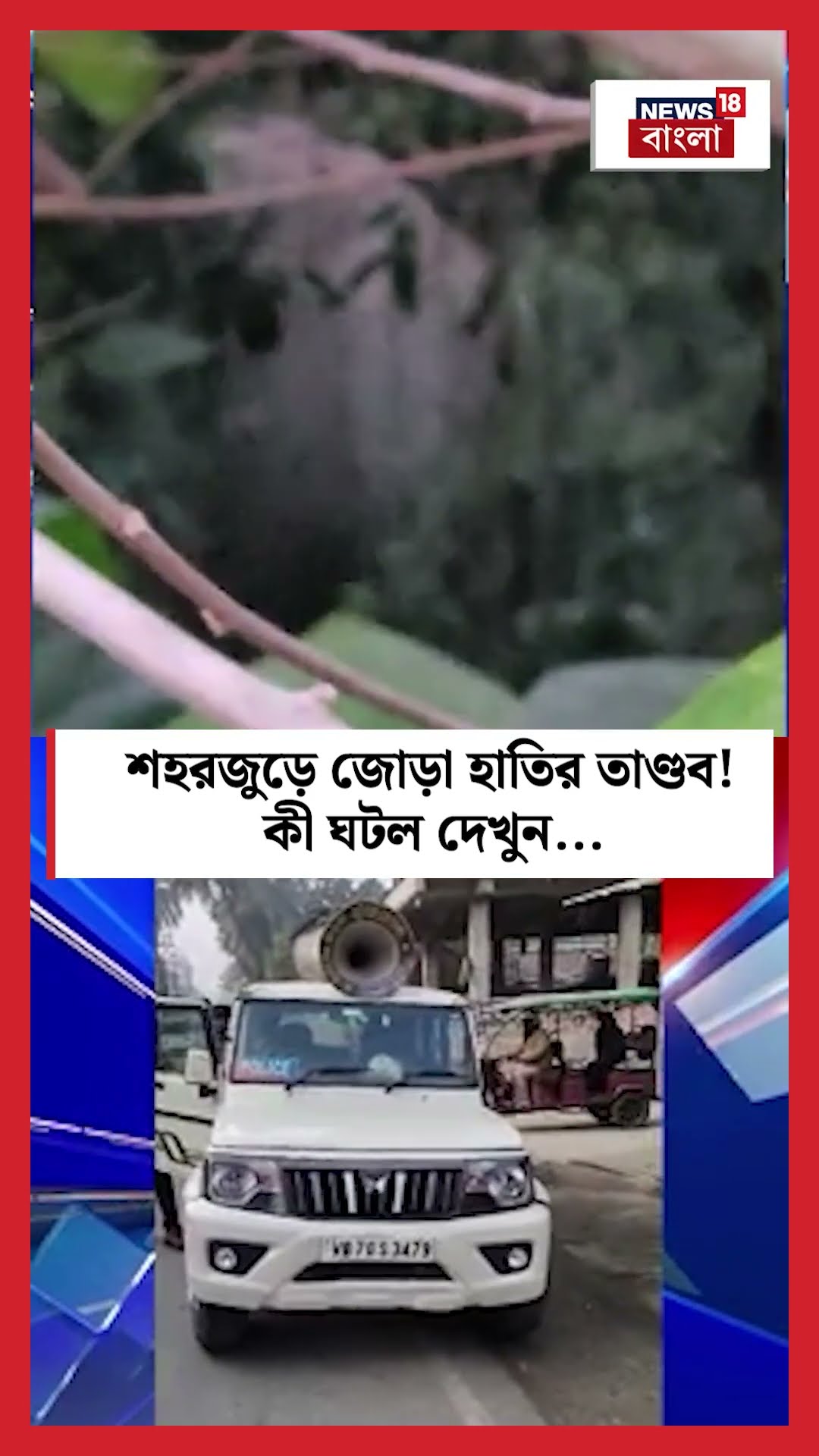 শহরজুড়ে জোড়া হাতির তাণ্ডব! কী ঘটল দেখুন... #shorts