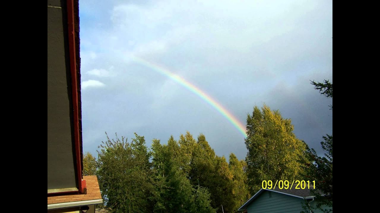 purity of heart arralou