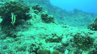 2011 First dive at Guam with HX5V