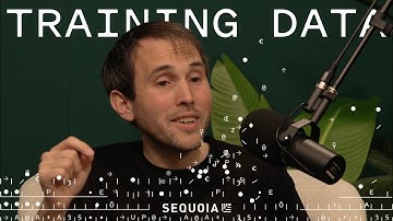 Securing the AI Frontier: Irregular Co-founder Dan Lahav