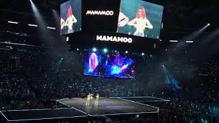 Mamamoo  Starry Night Kconla 19