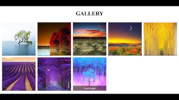 How To Create A  Slideshow | HTML & CSS | jQuery Code | Easy & Quick
