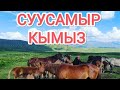 Ош-Бишкек// Суусамыр// Кымыз