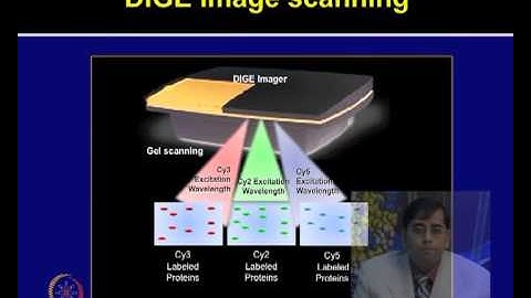 Mod-16 Lec-16 Two-dimensional difference gel electrophoresis (2D DIGE)