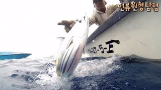 (ENG SUB)인류 원형 탐험 - 바다 위의 작은 마을, 말레이시아 바자우족ㅣA small village on the sea Bajau of Malaysia