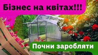 Квітковий бізнес. Рецепти успішного початку вирощуванні квітів в теплиці.