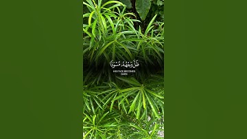 سورة النحل💚✨ #اكسبلور #راحه_نفسيه  #القرآن