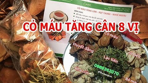 Cỏ máu tăng cân 8 vị - Tăng Cân, bổ máu, ngủ ngon