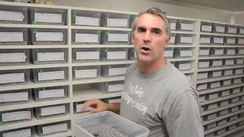 Episode 1   Collecting Eggs - CrittaCam