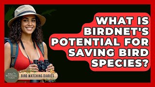 What Is BirdNET's Potential For Saving Bird Species? - Bird Watching Diaries