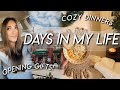 DAYS IN MY LIFE | celebrating our family Christmas, feeling funky, cooking cozy dinners!