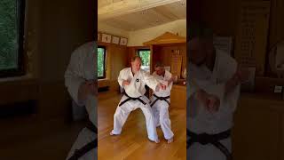Download Lagu Tenshin \u0026 Atifa training | Okinawa Goju-Ryu | IKEMIYAGI DOJO #okinawakarate #gojuryu #ikemiyagidojo MP3 Download Lagu Tenshin \u0026 Atifa training | Okinawa Goju-Ryu | IKEMIYAGI DOJO #okinawakarate #gojuryu #ikemiyagidojo MP3