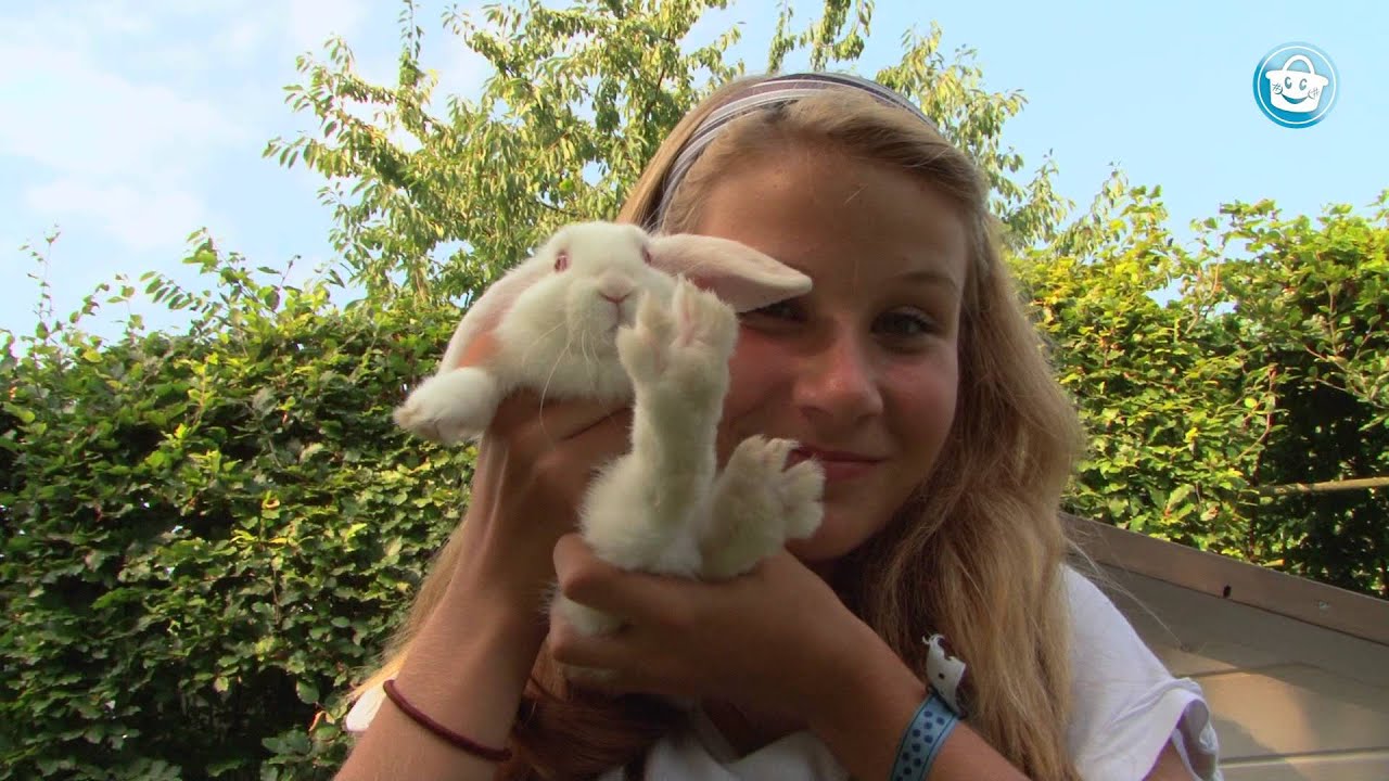 Konijnenhok & Kippenhok Prestige Large