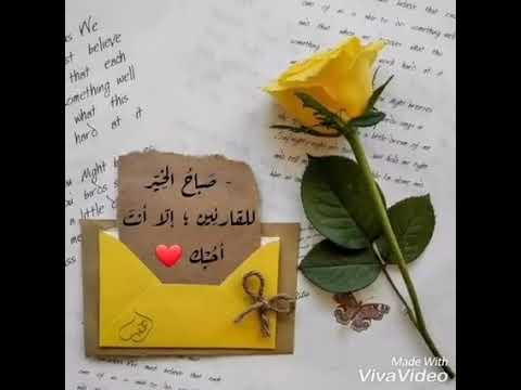 صباح الورد والفل والياسمين اجمل فيديو صباح الخير