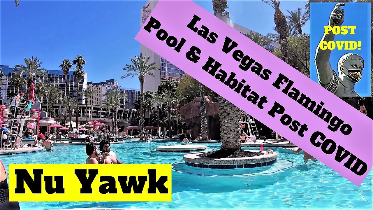 Flamingo Pools - Las Vegas