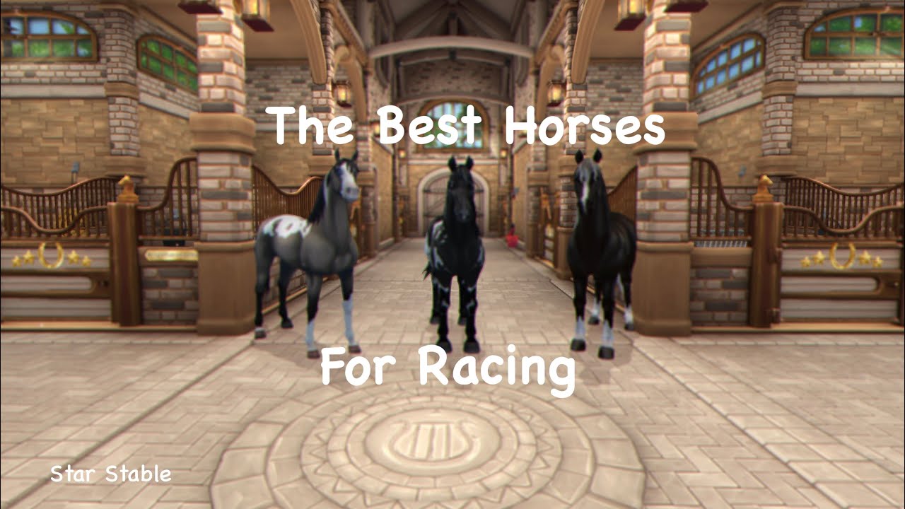 The Best Racing Horses || Star Stable - YouTube