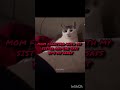 how always me #viral #funny #memes #relatable #catmemes #cat