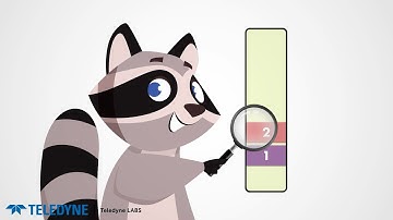 What Is Flash Chromatography?