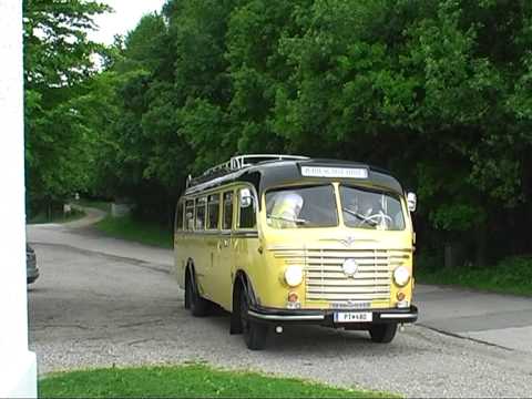 Ein Steyr-Postbus an der Kaiserbuche