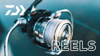 New 2018 Daiwa EXIST LT | EXIST In Action