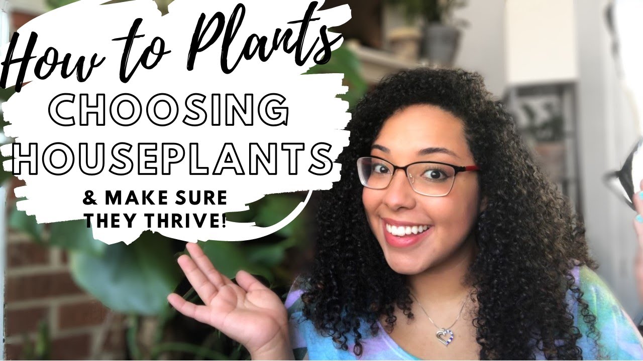 How to CHOOSE HOUSEPLANTS Which Will THRIVE In Your HOME!! | Steps to