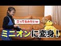 かわいい!犬が歩いてるみたい!?エルくんがミニオンコスプレ
